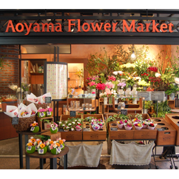 Aoyama Flower Market(青山フラワーマーケット)